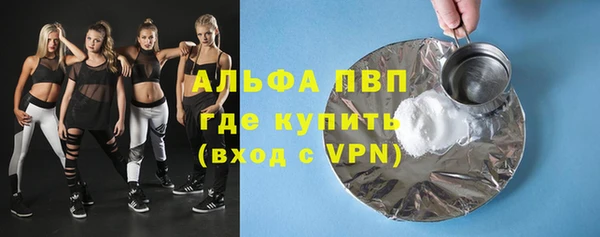 прущие грибы Карталы