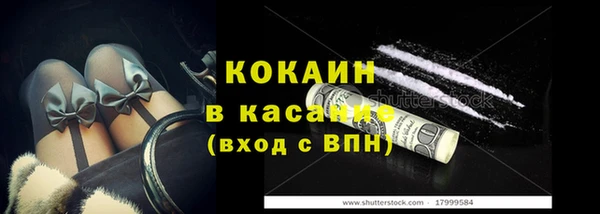 прущие грибы Карталы