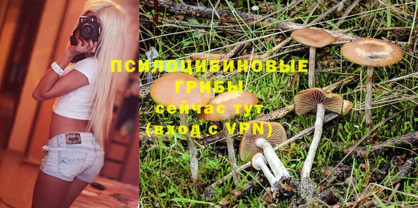 прущие грибы Карталы