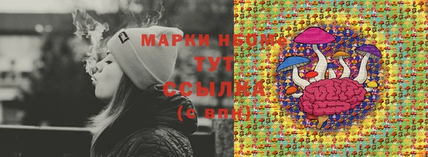прущие грибы Карталы