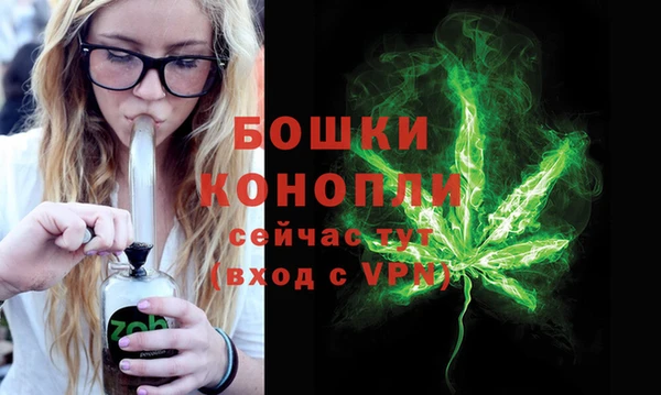 прущие грибы Карталы