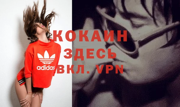 прущие грибы Карталы